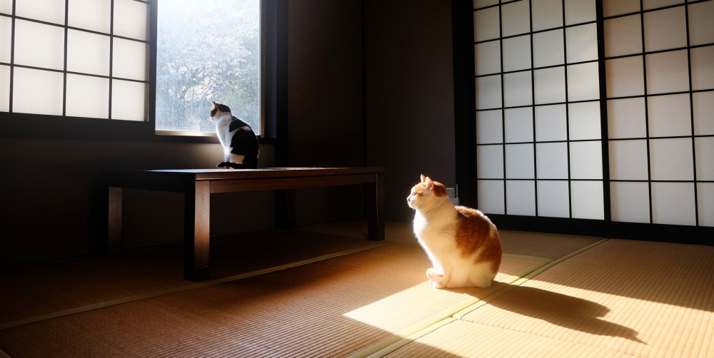 将来的には実家に住みたい！実家をリフォームして住み続けるには