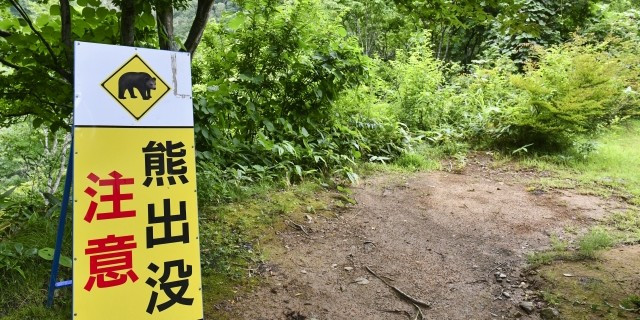 熊出没中！秋の行楽地と里山にある実家は特に十分な注意を！